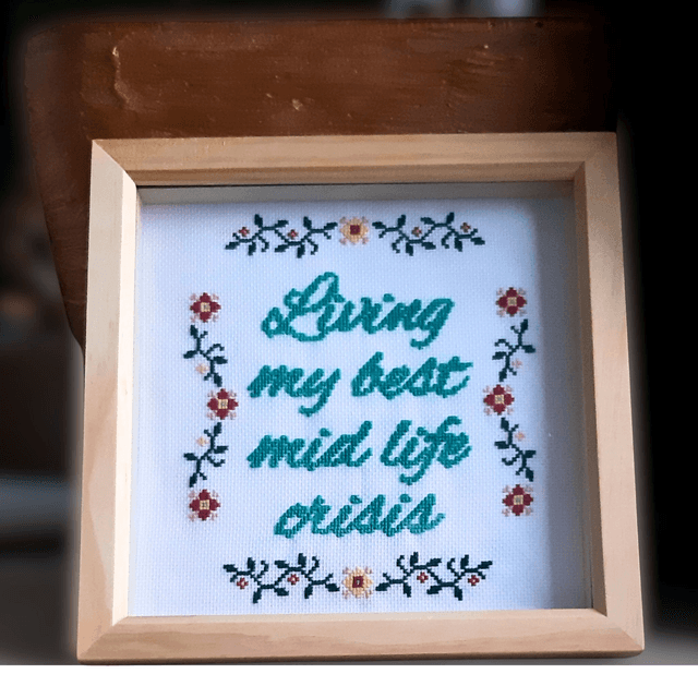 Living my best mid life crisis, completed cross stitch home decor